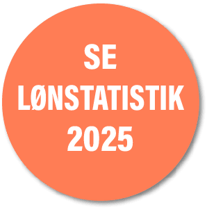 se l nstatistik 2025